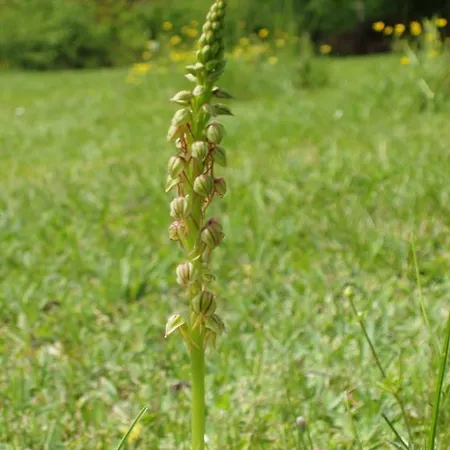 Bed & Breakfast De Gramat