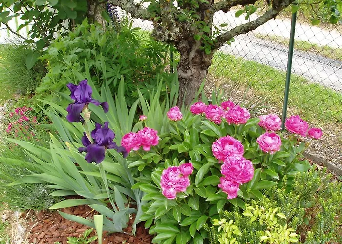 Bed & Breakfast De Gramat