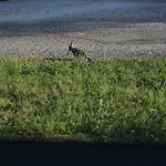 De Gramat Nocleg ze śniadaniem Payrac