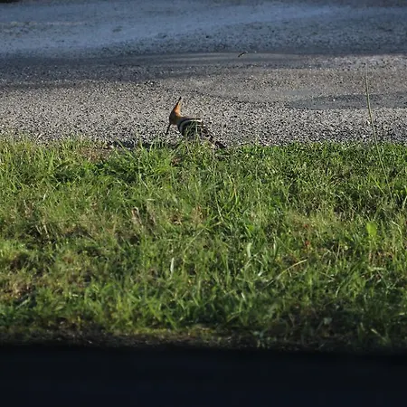 De Gramat ベッド・アンド・ブレックファスト Payrac