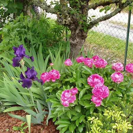 ベッド・アンド・ブレックファスト De Gramat