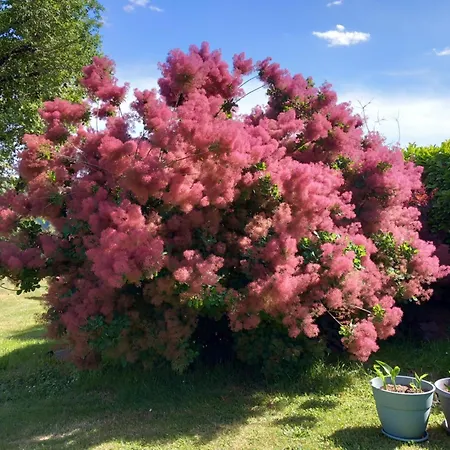 Bed & Breakfast De Gramat