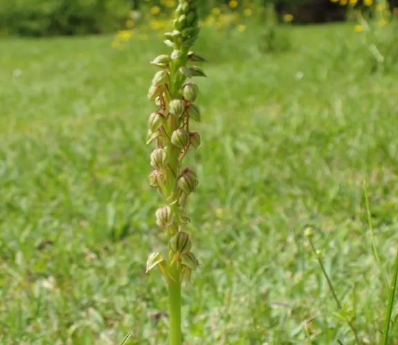 Bed & Breakfast De Gramat