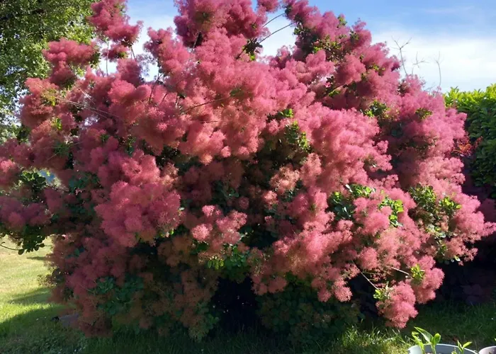 Bed & Breakfast De Gramat